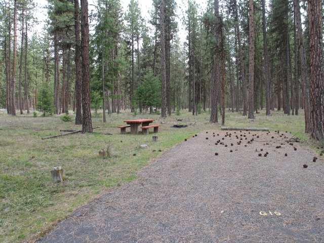 picture showing Typical campsite for Loops C and G. Many sites have minimal slopes and tread obstacles, but there are no accessible picnic tables or fire rings.